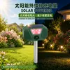 Repelente Ultrasónico de Ratones de Frecuencia Variable Modelo Nuevo Transfronterizo, Repelente de Pájaros Alimentado por Energía Solar, Disuasorio Ajustable de Alta Potencia para Exteriores