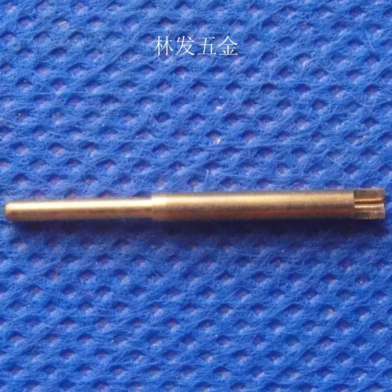 DSC04641.JPG