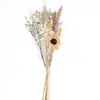 Flores Secas Transfronterizas Mezcla y Combina Ramo Decoración Cola de Conejo de Junco Hierba de Gema Ramo de Rosas Decoración de Sala de Estar Flores Naturales Reales