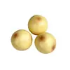 Brinquedo de Aperto Batata Pequena Blocos de Construção, Som Crocante Realista, Alívio do Estresse, Brinquedo Divertido de Comida, Diversão para Amassar, Brinquedo de Rebote Lento