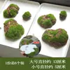 Musgo Musgo Verde Falso Blocos Gramado Artificial Tapete de Chão Decoração Estilo Floresta Vitrine Parede de Plantas Paisagismo Pavimentação com Grama Verde