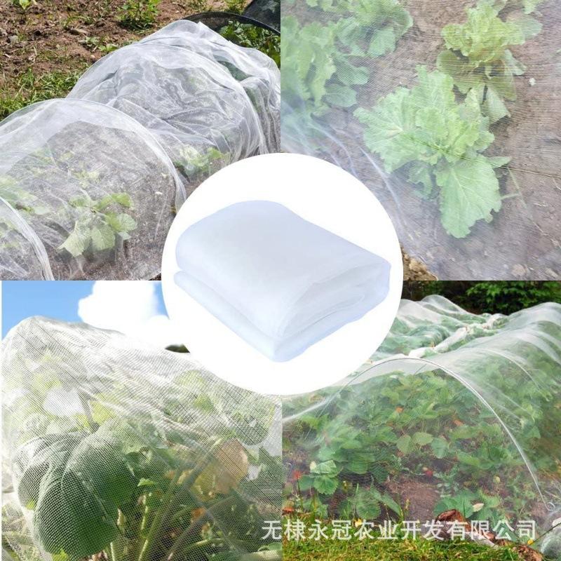 图5.jpg