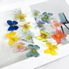 Mini flor de borboleta colorida DIY, cabeça de flor artificial em tecido de seda, material e acessórios de flor para grampo de cabelo, pequenos adereços para arranjos florais de casamento