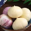 Alho seco fresco de casca roxa com uma única cabeça, originário de Yunnan, alho picante Red Pearl, vegetais da estação, 2,5 kg