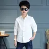 Camisa de primavera 2023 para niños versión coreana de camiseta interior de manga larga para niños color liso camisa para bebé ropa para niños una generación de pelo