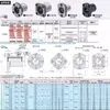 Rodamiento Lineal de Brida Única Lhfr/Lhfs/Lhfc6 8 10 12 13 16 20 25 30 35