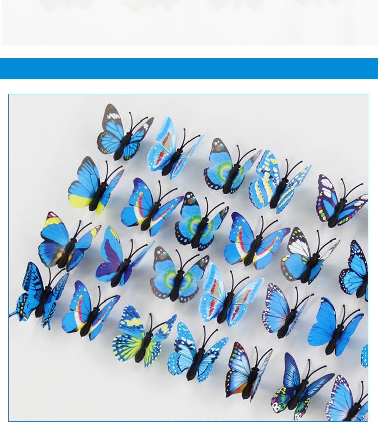 蝴蝶1_18.jpg