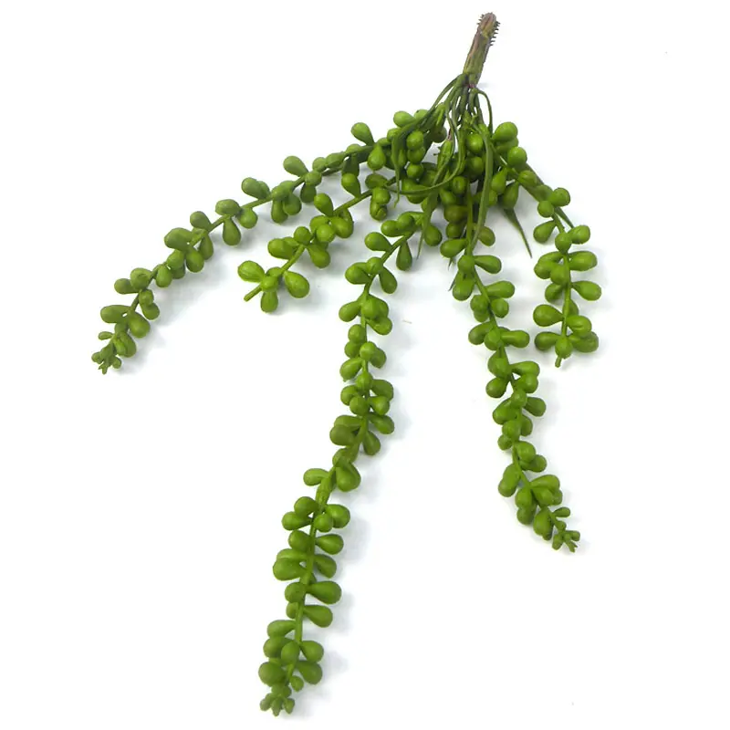 小号珍珠豆001