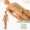 Modelo de Corpo Humano com Pontos de Acupuntura para Praticar Inserção de Agulha, Diagrama Completo do Corpo com os Doze Meridianos da Medicina Chinesa, Modelo de Cobre em Forma Humana