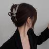 Pinza para Oreja de Trigo con Poco Volumen de Cabello, Pinza de Tiburón para la Parte Posterior de la Cabeza de Mujer, Pinza para el Cabello, Nueva Pinza con Clase de Metal para el Cabello