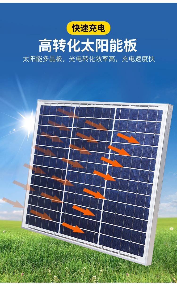 金豆款_16.jpg