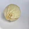 Personalizar Bolas de Mazorca de Maíz Natural de Venta Caliente Transfronteriza, Bolas Masticables Comestibles Naturales para Mascotas Pequeñas, Manualidades de Frutas Secas Naturales