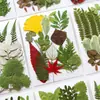 Espécimes de Plantas com Folhas Reais de Outono, Adesivos Artesanais, Flores Secas, Flores Prensadas, Pinturas Decorativas de Folhas DIY, Marcadores de Página de Plantas