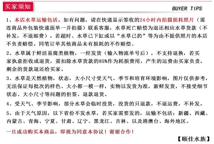 Volver arriba 水草买家须知