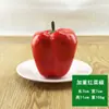 Modelo de pimiento de simulación plástico verdura falsa fruta juguete espuma pimiento rojo falso accesorios de decoración de gabinete