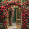 Semillas de Flores de Rosa Trepadora Son Fáciles de Cultivar, Semillas de Planta Trepadora con Pétalos Dobles para Flores de Jardín y Balcón
