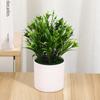 Plantas de Nenúfar en Maceta Hechas a Medida, Hierba Pequeña de Primavera con Macetas, Decoraciones de Exhibición para Interiores, Plantas Verdes Estilo Ins, Bonsáis Pequeños al por Mayor
