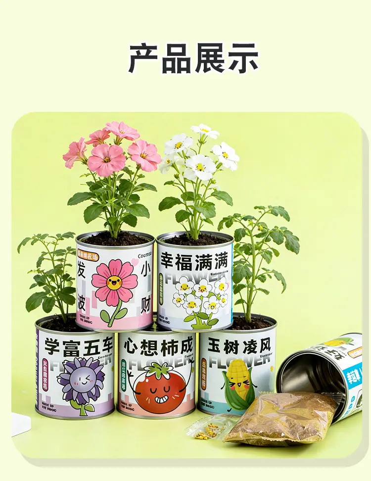 创意盘栽_08.jpg