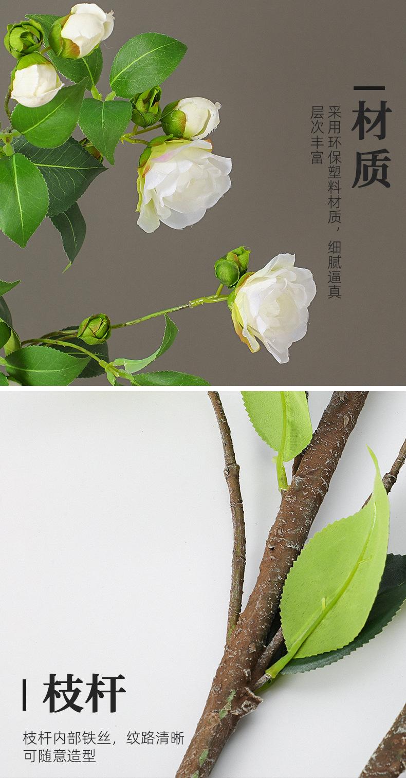 大枝茶花详情图