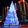 Luces Decorativas de Árbol de Navidad LED Transfronterizas para Exterior Impermeables Diseño Festivo Decorativo Copo de Nieve Lazo Ciervo Luz Forma de Bola