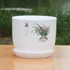 Caixa de Plantio Modular de Resina Cerâmica Imitação de Cerâmica Porcelana Branca Resina PP Tamanho Grande Prunus Orquídea Bambu Crisântemo Tigela Lótus Clívia Vaso de Flores