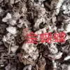 Mariposa Dorada 500g Material Medicinal Chino Mariposa Dorada Jin Di Luo Wen Qian Hong Jin Xian Diao Fu Rong Luo Di Jin Qian