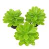 Mini Suculentas Artificiales Transfronterizas de 7 cm, Accesorios DIY para Micro Paisajismo, Modelo de Planta para Decoración de Escenas, Plantas Verdes Pequeñas