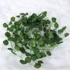 Atacado Folha Verde Simulada Rabanete Uva Trepadeira Tigre e Begônia Melancia Hera Pendurada na Parede Planta Verde Simulada Pendurada na Parede Rattan