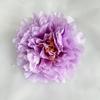 Cross-border Novo produto Simulação Peônia Flor Casamento Decoração para casa Acessórios para flores Enfeite Caixa de flores Decoração Decoração Cabeça de flor feita à mão