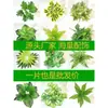 Planta artificial de pared de simulación, planta verde, césped artificial, césped artificial, sala de estar, flor de plástico falsa, cabecera de puerta, pared de fondo de balcón, decoración, hierba
