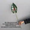 Impresión 3D de una sola pieza de hojas de plantas verdes, hojas de taro, pared de plantas blanca y verde decorada con cinta adhesiva