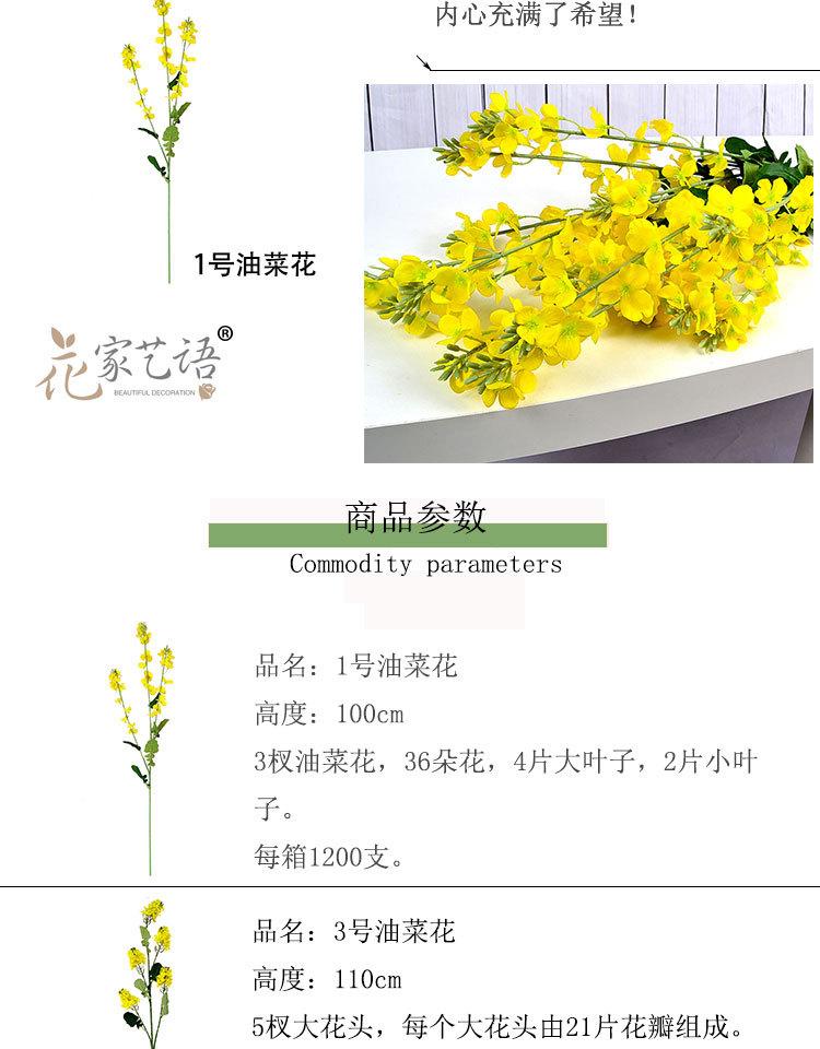 未标题-1_03.jpg