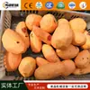Máquina de Descascar Batata Totalmente Automática Equipamento de Limpeza e Descascamento de Batata Doce Máquina de Descascar Inhame