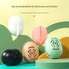 Amazon Caixa de Armazenamento de Esponja de Beleza de Silicone Esponja Puff Capa Protetora à Prova de Poeira Ferramenta de Armazenamento Rosa Sakura Edição Limitada
