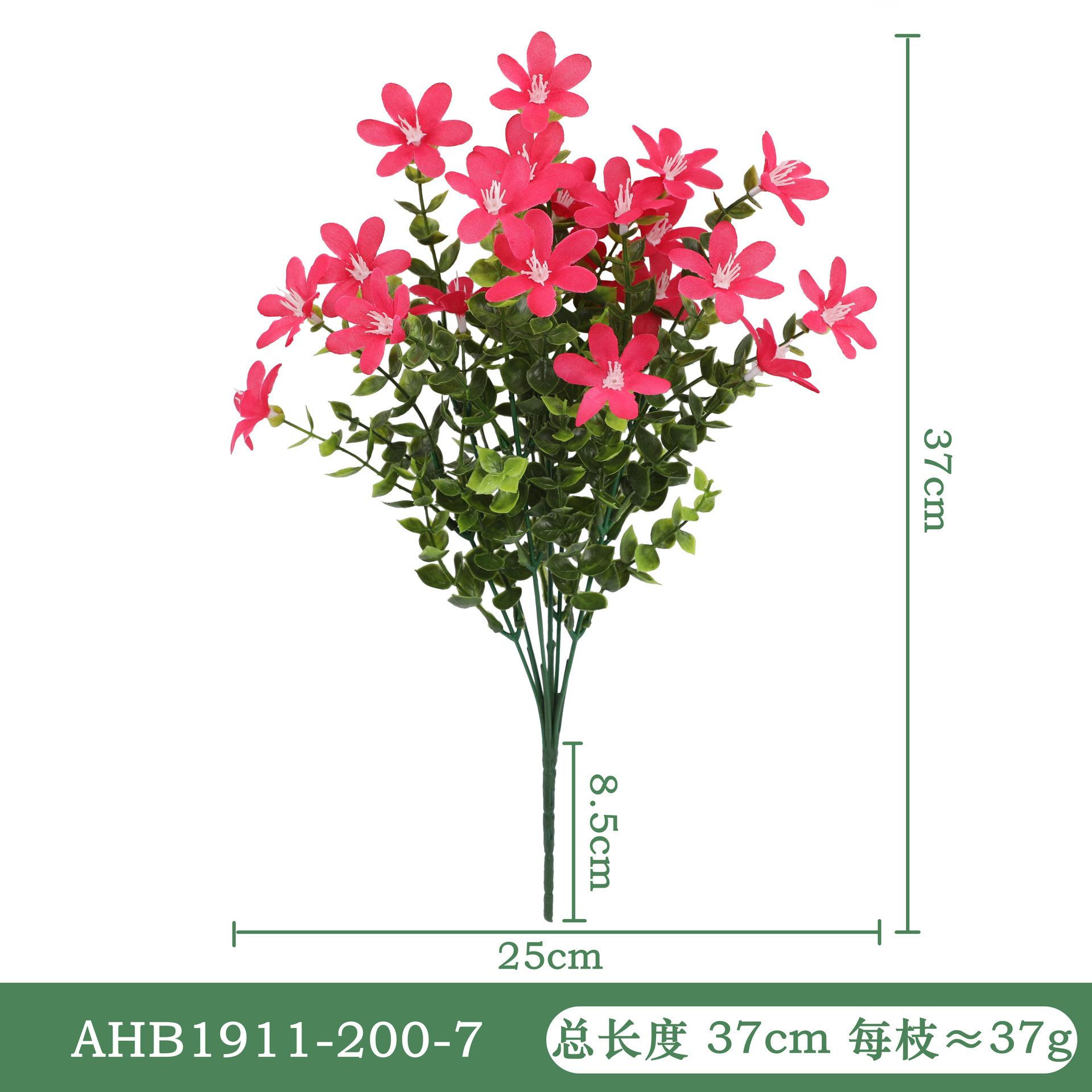 尤加利兰花-红色AHB1911.jpg