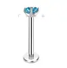 Brincos de Liga de Titânio, Piercings Labiais, Joias, Piercings Nasais de Zircônia com Garra para Mulheres, Piercings Corporais Europeus e Americanos Transfronteiriços, Joias para Piercing na Língua, Venda por Atacado