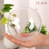 Atacado Micro Paisagem Garrafa de Vidro Transparente Pendurada para Plantas Hidropônicas Bola de Vidro Cultivada em Água Pingente Aéreo Layout de Cena