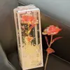Ramo de Rosas para Pareja 520, Decoración de Flores Eternas, Accesorio para Foto, Regalo de Cumpleaños para Novia, Flor de Rosa Deslumbrante