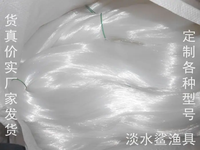 照片 066