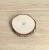 Planta de Ar Vintage de Alta Qualidade Moldura Magnética Vazia Suporte de Exibição Quadrado Moldura Decorativa DIY