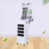 Máquina digital de cerámica para permanente de cabello de doble pantalla con temperatura constante inteligente, vertical con cajón, máquina para permanente de cabello, máquina para rizar cabello de salón