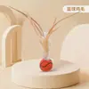 Brinquedo para Gato Bola Quicante Pena Varinha de Provocação Auto-Entretenimento Gadget para Alívio do Tédio Pidan Mesmo Modelo Gato Interativo Suprimentos para Animais de Estimação