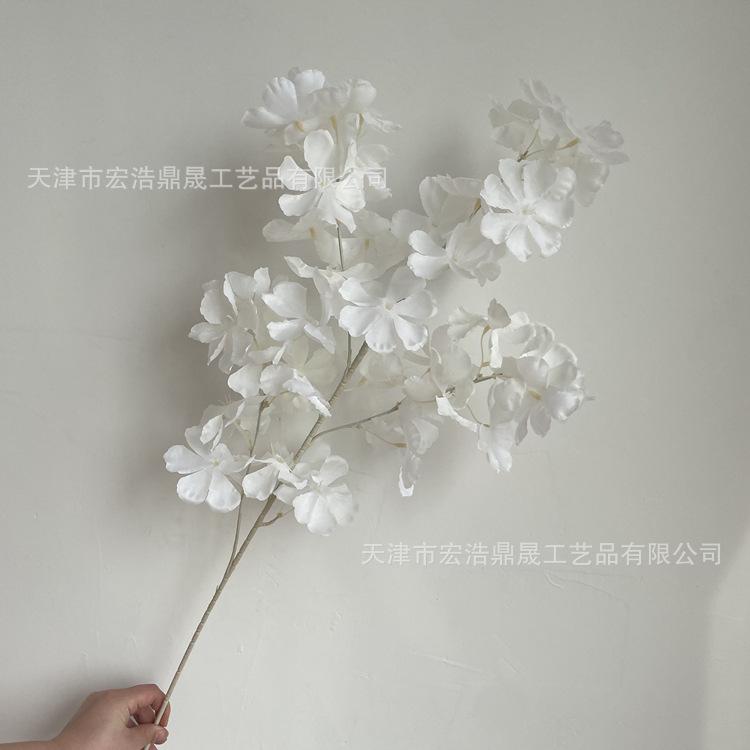 微信图片_202204111605063_副本