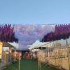 Fotografía de Celebridad de Internet Cortina de Lluvia Láser Colorida Importada Canopy de Galaxia para Fiesta Techo Colorido Techo de Viento para Parque de Atracciones