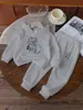 Conjunto de Ropa para Niños Transfronterizo Amazon Aliexpress Comercio Exterior Dropshipping para Niños Mayores Sudadera con Capucha y Pantalones de Chándal Conjunto de Dos Piezas