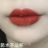 Taza Antiadherente, Labial que No se Transfiere, No se Borra Fácilmente, Tono Natural Canela Leche Amarillo para Piel, Delineador de Labios Blanqueador y de Larga Duración