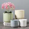 Vasos de Cerâmica Específicos para Orquídeas Phalaenopsis Grandes e Pequenas, Adequados para Plantas Pendentes, Árvores da Fortuna, Plantas Verdes e Suculentas, com Prato para Uso Doméstico