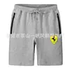 Pantalones Casuales Unisex al por Mayor para Primavera, Verano, Otoño e Invierno Nuevas Llegadas, Pierna Recta Ajuste Delgado Casual Versátil Moda Deportiva Pantalones de Chándal para Hombre