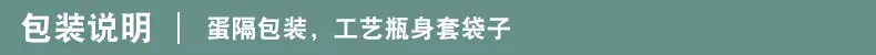 详10（包装说明）