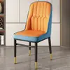 Sillas de Comedor, Sillas para Mesa de Comedor del Hogar, Sillas de Té de Lujo Ligero de Gama Alta, Sillas de Hierro Forjado, Taburetes de Tocador, Sillas de Ocio, Taburetes con Respaldo para Mahjong
